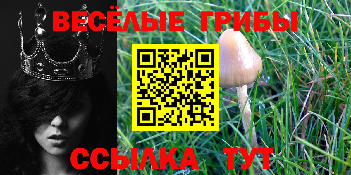 Галлюциногенные грибы Magic Shrooms Дзержинский
