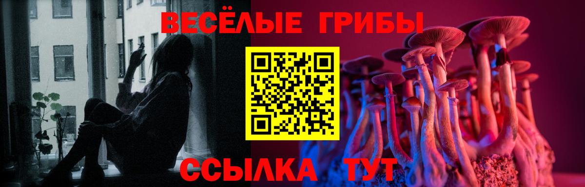 Псилоцибиновые грибы прущие грибы  Вход с VPN  купить наркотики цена  Псилоцибиновые грибы прущие грибы  Дзержинский 